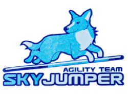 Skyjumper